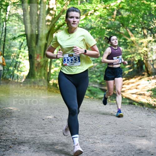 28.09.2025 - 33. Volkslauf durch das schöne Alstertal Dr. Thomas Lammeyer http://msf.ph/oto/8957330 28.09.2025 10:47:56 Laufen 3333 meine-sportfotos.de