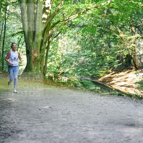 28.09.2025 - 33. Volkslauf durch das schöne Alstertal Dr. Thomas Lammeyer http://msf.ph/oto/8957332 28.09.2025 10:47:57 Laufen 3136 meine-sportfotos.de