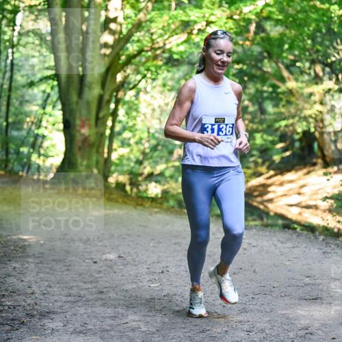28.09.2025 - 33. Volkslauf durch das schöne Alstertal Dr. Thomas Lammeyer http://msf.ph/oto/8957341 28.09.2025 10:47:59 Laufen 13136 meine-sportfotos.de