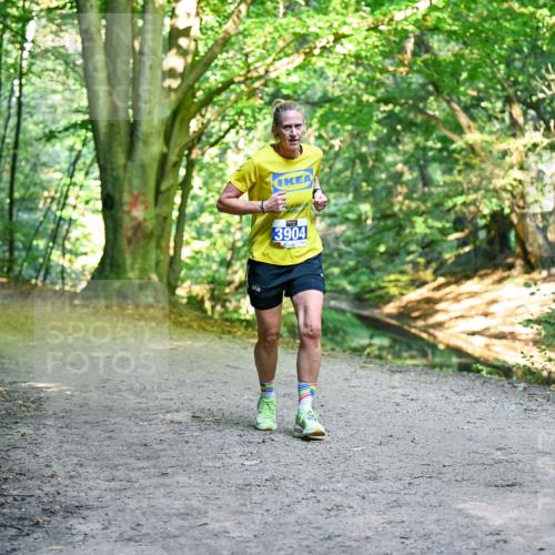 28.09.2025 - 33. Volkslauf durch das schöne Alstertal Dr. Thomas Lammeyer http://msf.ph/oto/8957362 28.09.2025 10:48:07 Laufen 3904 meine-sportfotos.de