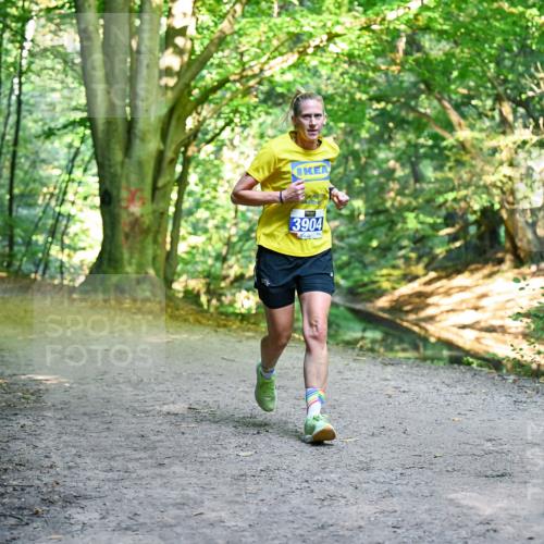 28.09.2025 - 33. Volkslauf durch das schöne Alstertal Dr. Thomas Lammeyer http://msf.ph/oto/8957363 28.09.2025 10:48:07 Laufen 3904 meine-sportfotos.de