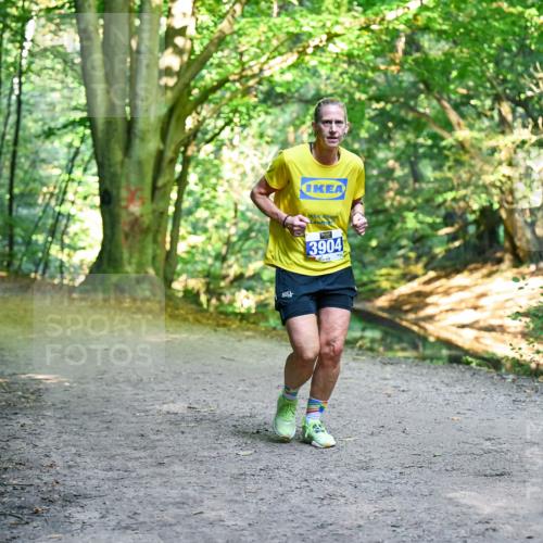 28.09.2025 - 33. Volkslauf durch das schöne Alstertal Dr. Thomas Lammeyer http://msf.ph/oto/8957364 28.09.2025 10:48:07 Laufen 3904 meine-sportfotos.de