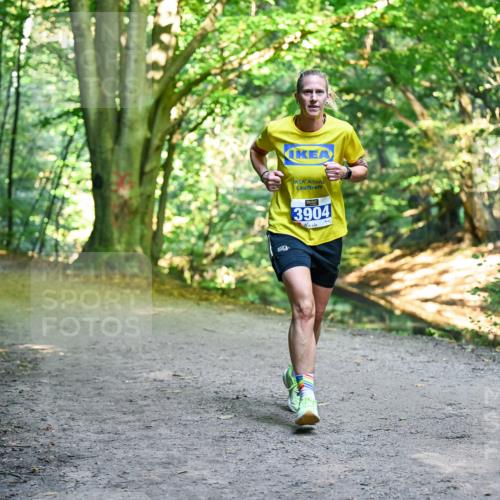 28.09.2025 - 33. Volkslauf durch das schöne Alstertal Dr. Thomas Lammeyer http://msf.ph/oto/8957366 28.09.2025 10:48:07 Laufen 3904 meine-sportfotos.de