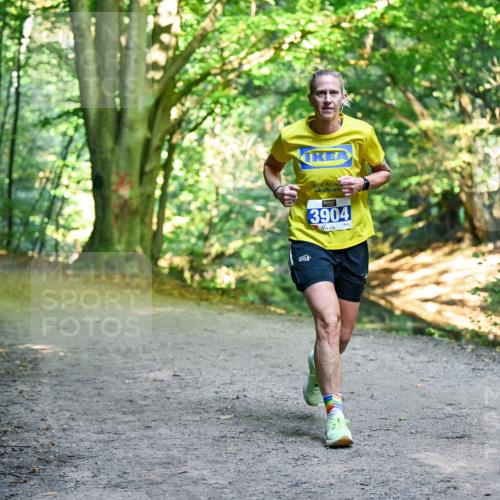 28.09.2025 - 33. Volkslauf durch das schöne Alstertal Dr. Thomas Lammeyer http://msf.ph/oto/8957367 28.09.2025 10:48:07 Laufen 3904 meine-sportfotos.de