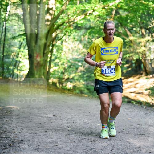 28.09.2025 - 33. Volkslauf durch das schöne Alstertal Dr. Thomas Lammeyer http://msf.ph/oto/8957368 28.09.2025 10:48:07 Laufen 3904 meine-sportfotos.de
