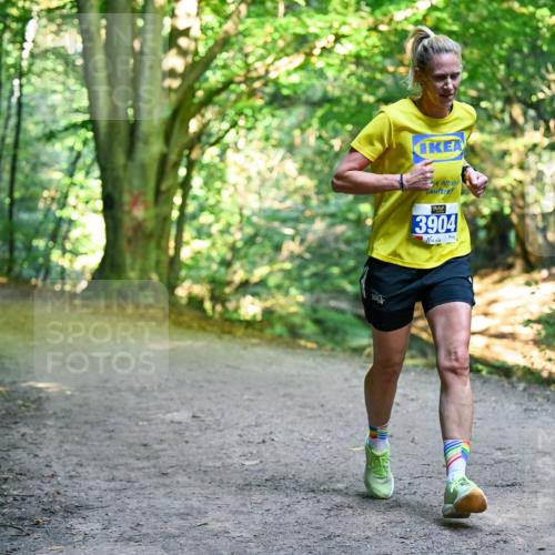 28.09.2025 - 33. Volkslauf durch das schöne Alstertal Dr. Thomas Lammeyer http://msf.ph/oto/8957369 28.09.2025 10:48:07 Laufen 3904 meine-sportfotos.de