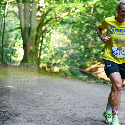 28.09.2025 - 33. Volkslauf durch das schöne Alstertal Dr. Thomas Lammeyer http://msf.ph/oto/8957370 28.09.2025 10:48:08 Laufen 3904 meine-sportfotos.de