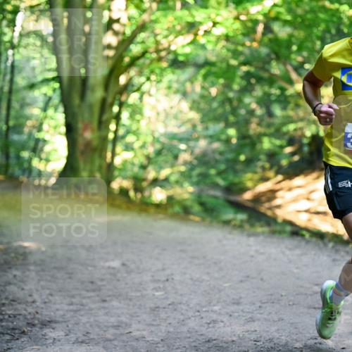 28.09.2025 - 33. Volkslauf durch das schöne Alstertal Dr. Thomas Lammeyer http://msf.ph/oto/8957371 28.09.2025 10:48:08 Laufen 3904 meine-sportfotos.de