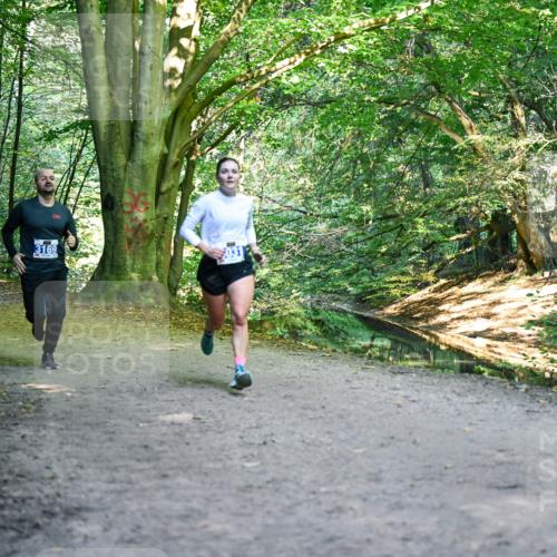 28.09.2025 - 33. Volkslauf durch das schöne Alstertal Dr. Thomas Lammeyer http://msf.ph/oto/8957373 28.09.2025 10:48:12 Laufen 3285, 3169 meine-sportfotos.de