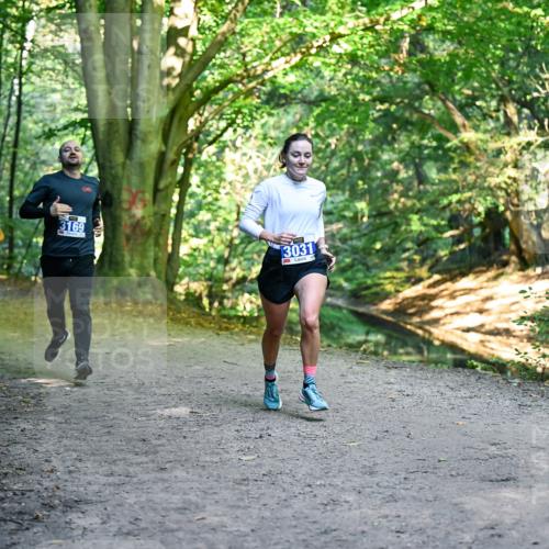 28.09.2025 - 33. Volkslauf durch das schöne Alstertal Dr. Thomas Lammeyer http://msf.ph/oto/8957377 28.09.2025 10:48:13 Laufen 3169, 3031 meine-sportfotos.de