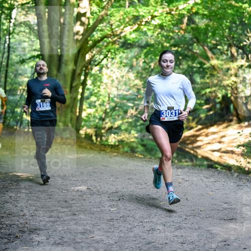 28.09.2025 - 33. Volkslauf durch das schöne Alstertal Dr. Thomas Lammeyer http://msf.ph/oto/8957381 28.09.2025 10:48:13 Laufen 3169, 3031 meine-sportfotos.de