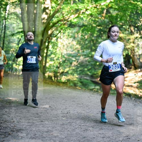 28.09.2025 - 33. Volkslauf durch das schöne Alstertal Dr. Thomas Lammeyer http://msf.ph/oto/8957383 28.09.2025 10:48:13 Laufen 3169, 3031 meine-sportfotos.de