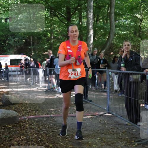 28.09.2025 - 33. Volkslauf durch das schöne Alstertal Strokosch-Dieckow http://msf.ph/oto/8957385 28.09.2025 13:02:30 Ziel 2278 meine-sportfotos.de