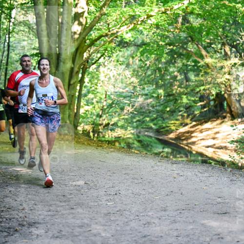 28.09.2025 - 33. Volkslauf durch das schöne Alstertal Dr. Thomas Lammeyer http://msf.ph/oto/8957394 28.09.2025 10:48:16 Laufen 320, 3295 meine-sportfotos.de