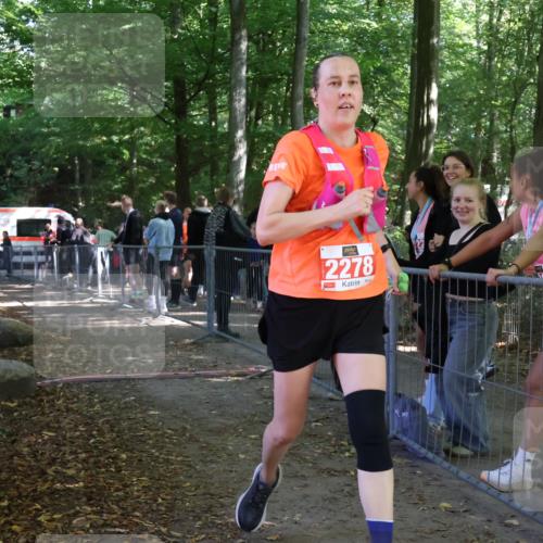 28.09.2025 - 33. Volkslauf durch das schöne Alstertal Strokosch-Dieckow http://msf.ph/oto/8957398 28.09.2025 13:02:31 Ziel  meine-sportfotos.de