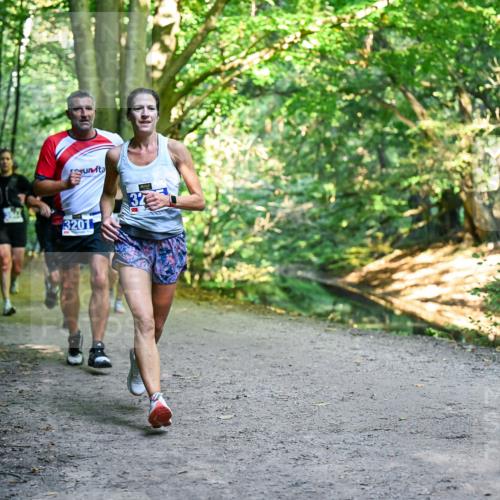 28.09.2025 - 33. Volkslauf durch das schöne Alstertal Dr. Thomas Lammeyer http://msf.ph/oto/8957400 28.09.2025 10:48:16 Laufen 3201 meine-sportfotos.de