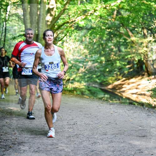 28.09.2025 - 33. Volkslauf durch das schöne Alstertal Dr. Thomas Lammeyer http://msf.ph/oto/8957401 28.09.2025 10:48:17 Laufen 3201, 3285 meine-sportfotos.de