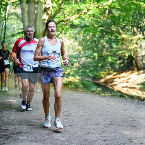 28.09.2025 - 33. Volkslauf durch das schöne Alstertal Dr. Thomas Lammeyer http://msf.ph/oto/8957402 28.09.2025 10:48:17 Laufen 3201, 85 meine-sportfotos.de