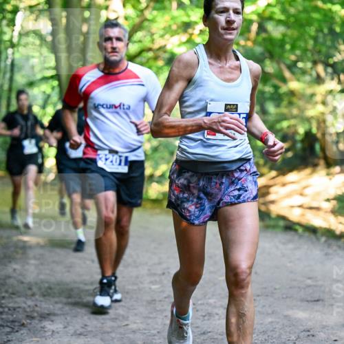 28.09.2025 - 33. Volkslauf durch das schöne Alstertal Dr. Thomas Lammeyer http://msf.ph/oto/8957407 28.09.2025 10:48:17 Laufen 3201 meine-sportfotos.de