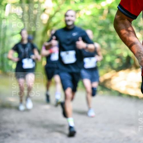 28.09.2025 - 33. Volkslauf durch das schöne Alstertal Dr. Thomas Lammeyer http://msf.ph/oto/8957415 28.09.2025 10:48:19 Laufen 32 meine-sportfotos.de
