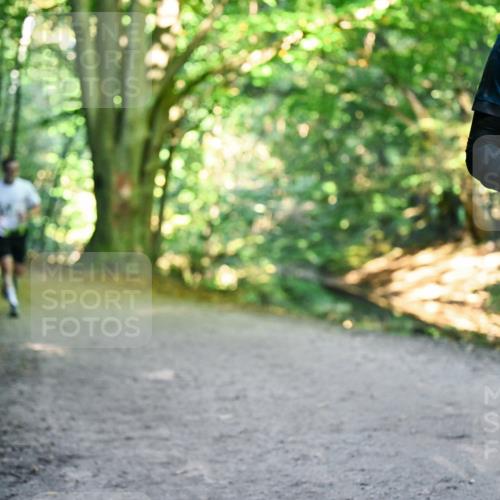 28.09.2025 - 33. Volkslauf durch das schöne Alstertal Dr. Thomas Lammeyer http://msf.ph/oto/8957431 28.09.2025 10:48:22 Laufen 39 meine-sportfotos.de