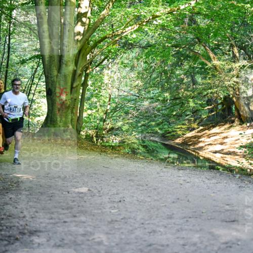 28.09.2025 - 33. Volkslauf durch das schöne Alstertal Dr. Thomas Lammeyer http://msf.ph/oto/8957432 28.09.2025 10:48:22 Laufen 32, 3188 meine-sportfotos.de