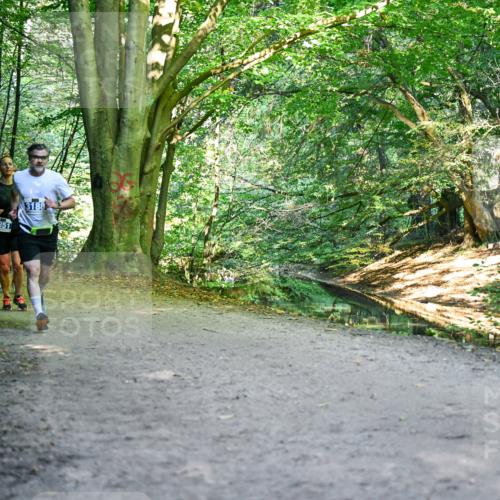 28.09.2025 - 33. Volkslauf durch das schöne Alstertal Dr. Thomas Lammeyer http://msf.ph/oto/8957435 28.09.2025 10:48:22 Laufen 3071, 3351, 3188 meine-sportfotos.de