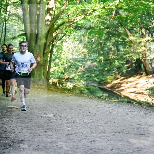 28.09.2025 - 33. Volkslauf durch das schöne Alstertal Dr. Thomas Lammeyer http://msf.ph/oto/8957436 28.09.2025 10:48:23 Laufen 3188, 335 meine-sportfotos.de