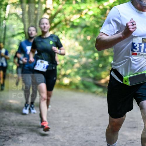 28.09.2025 - 33. Volkslauf durch das schöne Alstertal Dr. Thomas Lammeyer http://msf.ph/oto/8957455 28.09.2025 10:48:26 Laufen 8, 3188 meine-sportfotos.de