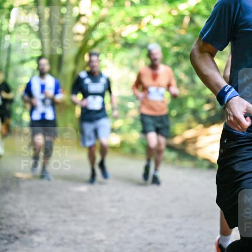 28.09.2025 - 33. Volkslauf durch das schöne Alstertal Dr. Thomas Lammeyer http://msf.ph/oto/8957466 28.09.2025 10:48:28 Laufen 3248 meine-sportfotos.de