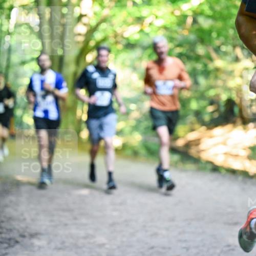 28.09.2025 - 33. Volkslauf durch das schöne Alstertal Dr. Thomas Lammeyer http://msf.ph/oto/8957467 28.09.2025 10:48:28 Laufen  meine-sportfotos.de