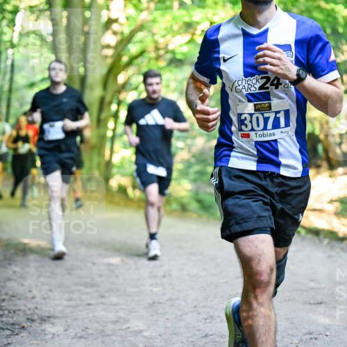 28.09.2025 - 33. Volkslauf durch das schöne Alstertal Dr. Thomas Lammeyer http://msf.ph/oto/8957483 28.09.2025 10:48:30 Laufen 24, 98, 3071 meine-sportfotos.de