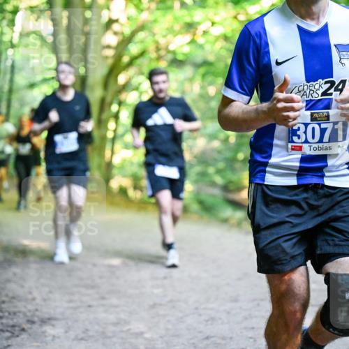28.09.2025 - 33. Volkslauf durch das schöne Alstertal Dr. Thomas Lammeyer http://msf.ph/oto/8957484 28.09.2025 10:48:30 Laufen 24, 3071 meine-sportfotos.de