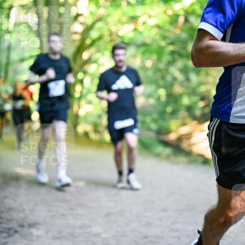 28.09.2025 - 33. Volkslauf durch das schöne Alstertal Dr. Thomas Lammeyer http://msf.ph/oto/8957485 28.09.2025 10:48:30 Laufen 3071 meine-sportfotos.de