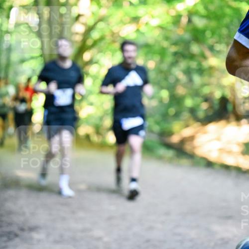28.09.2025 - 33. Volkslauf durch das schöne Alstertal Dr. Thomas Lammeyer http://msf.ph/oto/8957487 28.09.2025 10:48:30 Laufen  meine-sportfotos.de