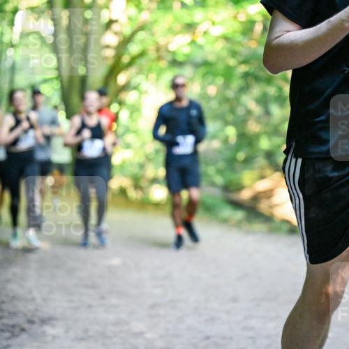 28.09.2025 - 33. Volkslauf durch das schöne Alstertal Dr. Thomas Lammeyer http://msf.ph/oto/8957496 28.09.2025 10:48:32 Laufen 3309 meine-sportfotos.de