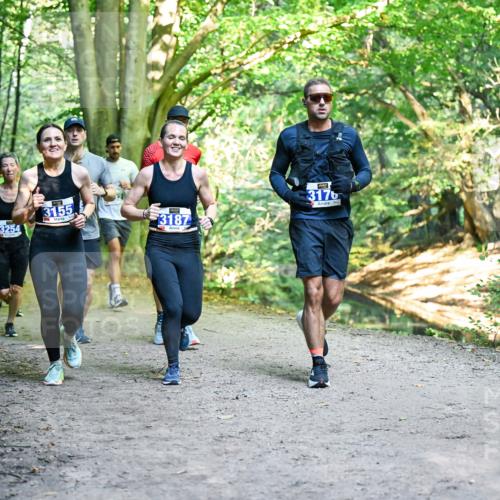 28.09.2025 - 33. Volkslauf durch das schöne Alstertal Dr. Thomas Lammeyer http://msf.ph/oto/8957498 28.09.2025 10:48:33 Laufen 3254, 3155, 3187, 3176 meine-sportfotos.de