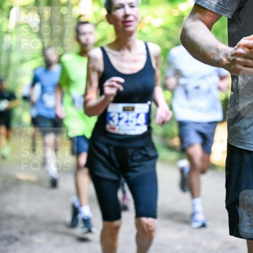 28.09.2025 - 33. Volkslauf durch das schöne Alstertal Dr. Thomas Lammeyer http://msf.ph/oto/8957516 28.09.2025 10:48:36 Laufen 3254, 2, 32 meine-sportfotos.de