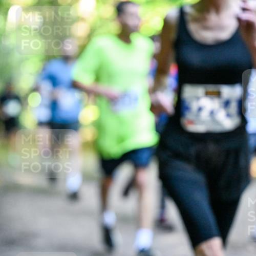 28.09.2025 - 33. Volkslauf durch das schöne Alstertal Dr. Thomas Lammeyer http://msf.ph/oto/8957520 28.09.2025 10:48:37 Laufen  meine-sportfotos.de