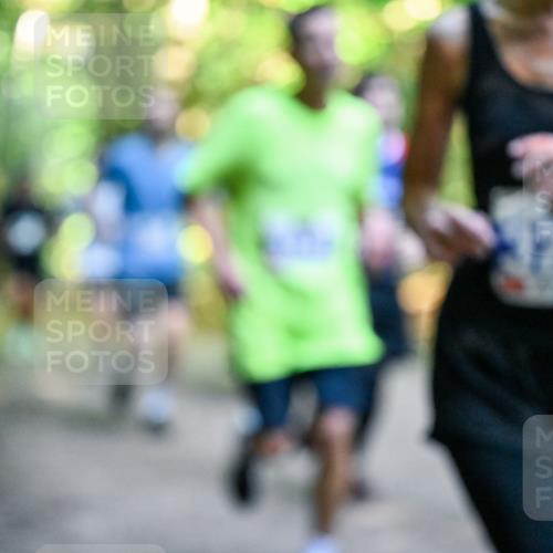 28.09.2025 - 33. Volkslauf durch das schöne Alstertal Dr. Thomas Lammeyer http://msf.ph/oto/8957521 28.09.2025 10:48:37 Laufen 1254 meine-sportfotos.de