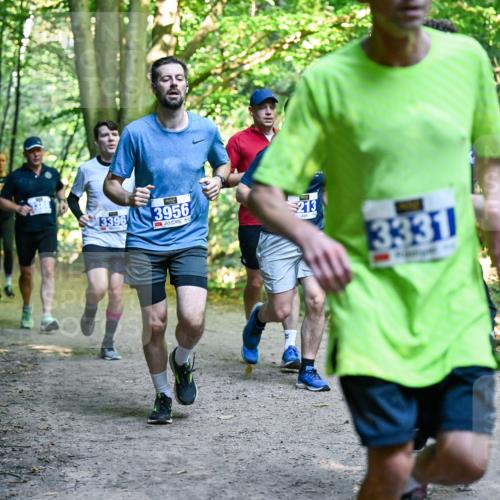 28.09.2025 - 33. Volkslauf durch das schöne Alstertal Dr. Thomas Lammeyer http://msf.ph/oto/8957523 28.09.2025 10:48:37 Laufen 3396, 3956, 213, 3331 meine-sportfotos.de