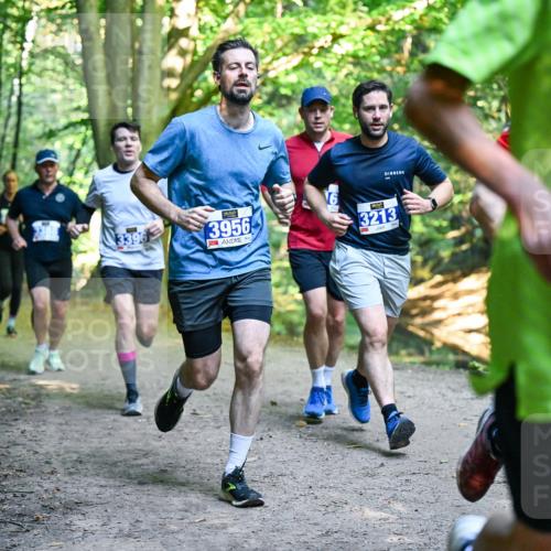 28.09.2025 - 33. Volkslauf durch das schöne Alstertal Dr. Thomas Lammeyer http://msf.ph/oto/8957526 28.09.2025 10:48:37 Laufen 333, 3396, 3956, 3213 meine-sportfotos.de