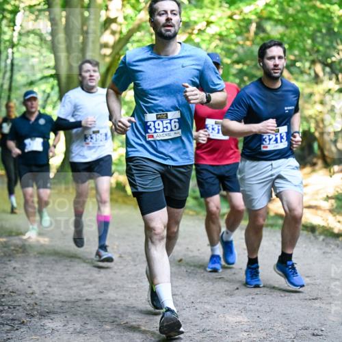28.09.2025 - 33. Volkslauf durch das schöne Alstertal Dr. Thomas Lammeyer http://msf.ph/oto/8957528 28.09.2025 10:48:38 Laufen 3956, 3213 meine-sportfotos.de