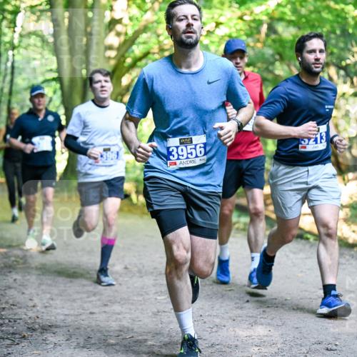 28.09.2025 - 33. Volkslauf durch das schöne Alstertal Dr. Thomas Lammeyer http://msf.ph/oto/8957529 28.09.2025 10:48:38 Laufen 3956, 5213 meine-sportfotos.de