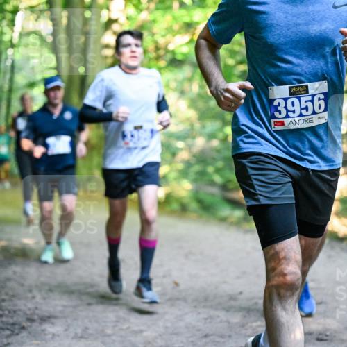 28.09.2025 - 33. Volkslauf durch das schöne Alstertal Dr. Thomas Lammeyer http://msf.ph/oto/8957533 28.09.2025 10:48:38 Laufen 3956, 321 meine-sportfotos.de