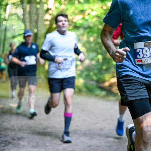 28.09.2025 - 33. Volkslauf durch das schöne Alstertal Dr. Thomas Lammeyer http://msf.ph/oto/8957534 28.09.2025 10:48:38 Laufen 3956 meine-sportfotos.de