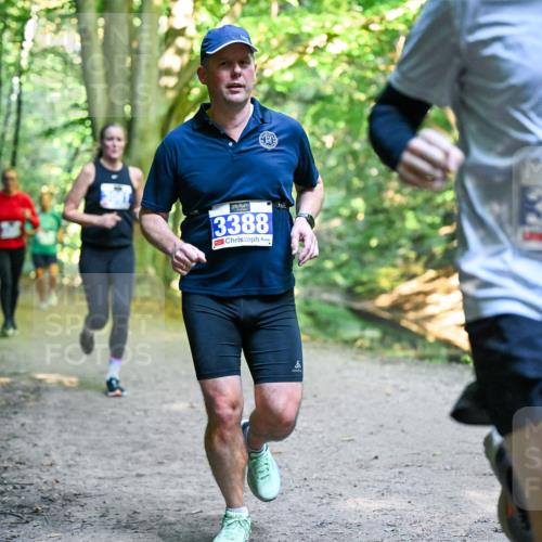 28.09.2025 - 33. Volkslauf durch das schöne Alstertal Dr. Thomas Lammeyer http://msf.ph/oto/8957542 28.09.2025 10:48:40 Laufen 3388, 3396 meine-sportfotos.de