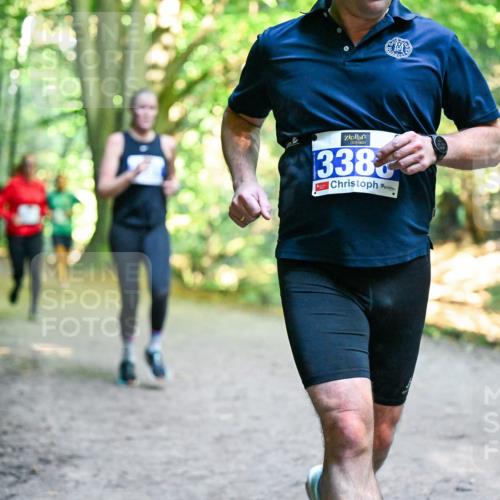 28.09.2025 - 33. Volkslauf durch das schöne Alstertal Dr. Thomas Lammeyer http://msf.ph/oto/8957546 28.09.2025 10:48:40 Laufen 338 meine-sportfotos.de