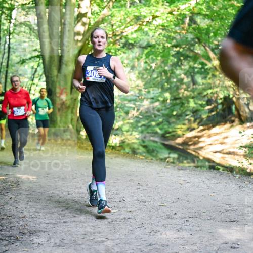 28.09.2025 - 33. Volkslauf durch das schöne Alstertal Dr. Thomas Lammeyer http://msf.ph/oto/8957548 28.09.2025 10:48:41 Laufen 308 meine-sportfotos.de