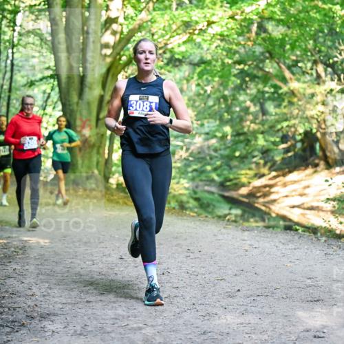 28.09.2025 - 33. Volkslauf durch das schöne Alstertal Dr. Thomas Lammeyer http://msf.ph/oto/8957549 28.09.2025 10:48:41 Laufen 3081 meine-sportfotos.de